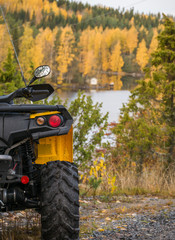 Atv in the forest