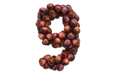 Number 9 from common figs, 3D rendering