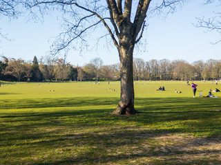 Gut besuchter leerer Park im Fr&uuml;hling w&auml;hrend Corona