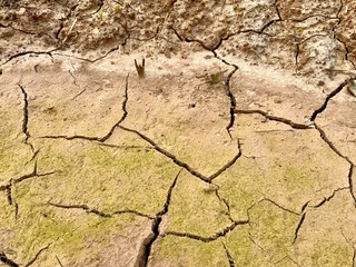 Trockenheit und Bodenrisse Deutschland