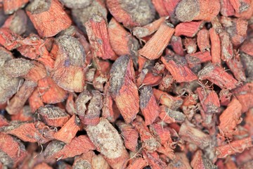 Dry root pieces of red sage, Salvia miltiorrhiza