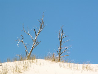 Ruchome wydmy Polska © Zbigniew