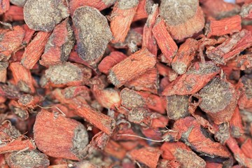 Dry root pieces of red sage, Salvia miltiorrhiza