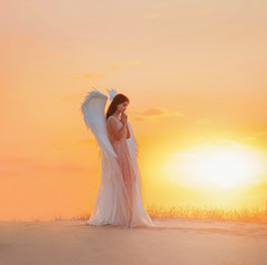 Fototapeta na wymiar Silhouette young woman angel stands in desert praying. Creative glamour design costume clothes with bird wings feathers. Bright yellow color sunset dramatic heaven. Photo Shoot Divine Fairy Spirit