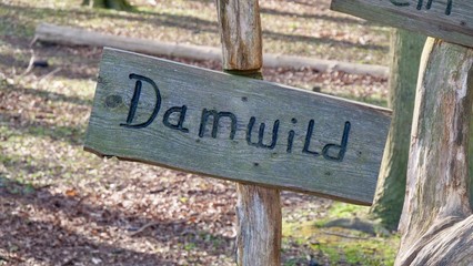 Damwild Schild