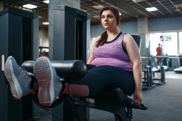 Fototapeta na wymiar Overweight woman pumps press, exercise in gym