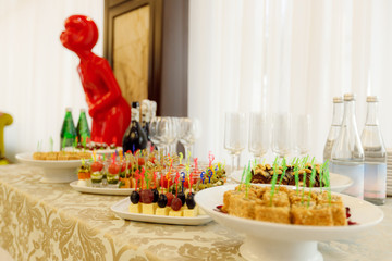 festive buffet reception. delicious appetizer nicely decorated on tables