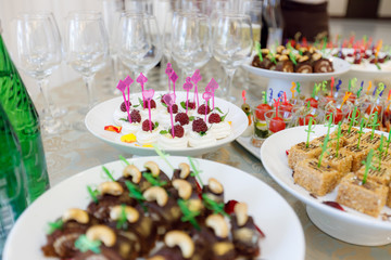 festive buffet reception. delicious appetizer nicely decorated on tables