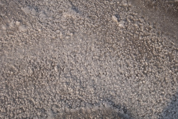 Sandy bottom of a dried reservoir with cracks and salt crystals.