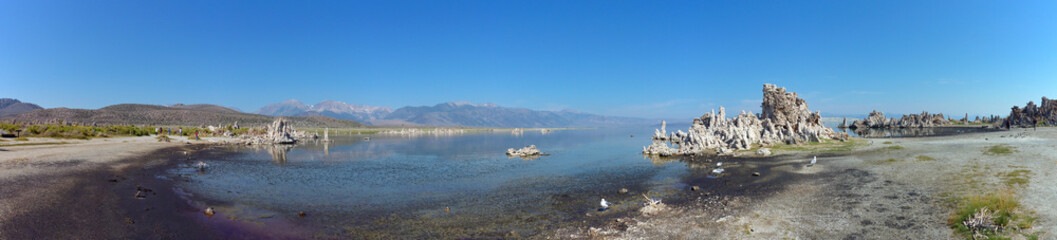 Sunny view of the famous Mono Lake