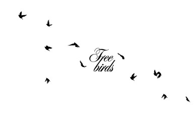 A flock of flying birds silhouette. Vector illustration