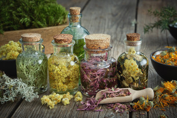 Bottles of tincture or infusion of healthy medicinal herbs and dried healing plants and flowers on...