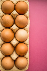 fresh chicken eggs in a shell