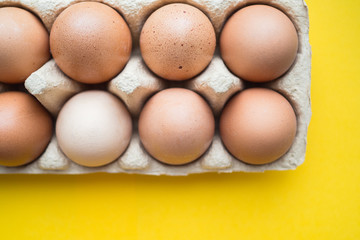 fresh chicken eggs in a shell