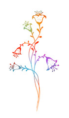 Field flower bell. Vector illustration