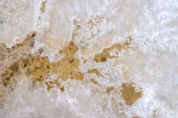 Ice macro during a cold winter morning.