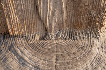 Fancy texture of ancient wooden pillars covered with salt particles.