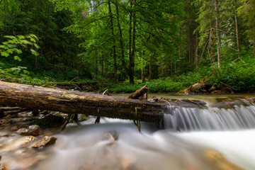 scenery at berchtesgadener Land 