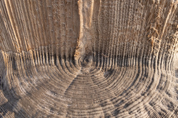 Fancy texture of ancient wooden pillars covered with salt particles.