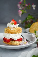 Homemade Strawberry shortcake with stuffed cream topping, selective focus
