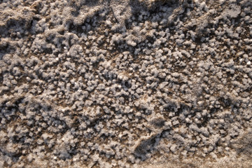 Sandy bottom of a dried reservoir with cracks and salt crystals.