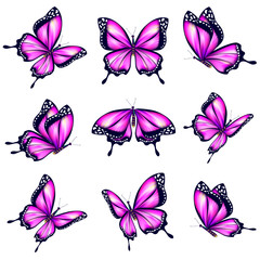 butterfly530