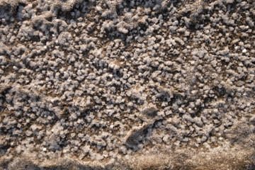 Sandy bottom of a dried reservoir with cracks and salt crystals.