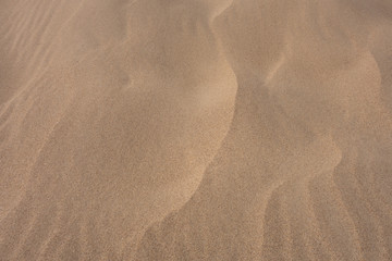 Sand dunes, waves of sand. Creative vintage background.
