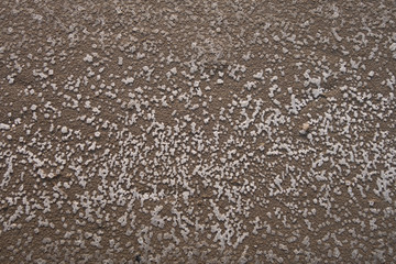 Sandy bottom of a dried reservoir with cracks and salt crystals.