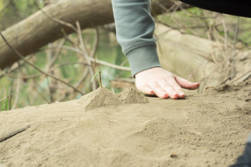house made of sand stay home