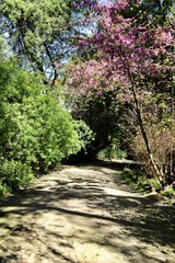 Leafy and green gardens at the Botanical Garden of Lisbon