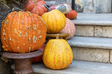 A fall arrangement of pumpkins and gourds