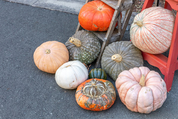 A display of heirloom and unusual pumpkins