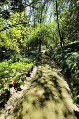 Leafy and green gardens at the Botanical Garden of Lisbon