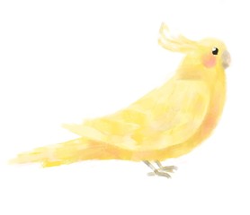 Pet Parrot Corella. Digital illustration.