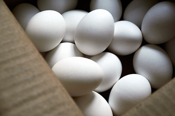White oval chicken eggs in a cardboard box on top view. Agricul