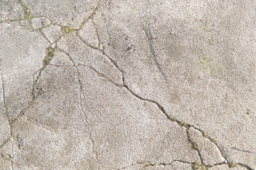 Cracks in a concrete footpath