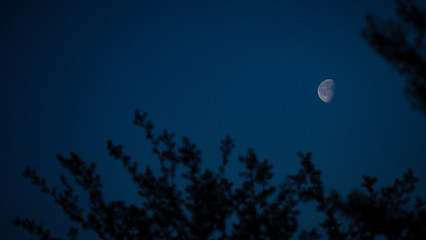 moon over the sky