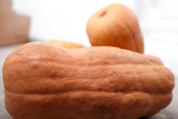 Pumpkins or butternut squashes on grey concrete background
