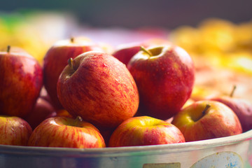 Red apples in close up with blurred background
