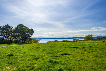 Fototapeta na wymiar Grass Area at Macaulay Point