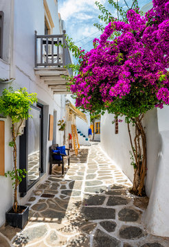 Fototapeta Picturesque narrow street with traditional whitewashed houses with blooming bougainvillea flowers of Naousa town in famous tourist attraction Paros island, Greece