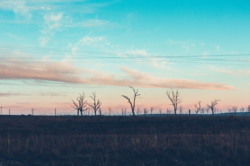 sunrise over the field