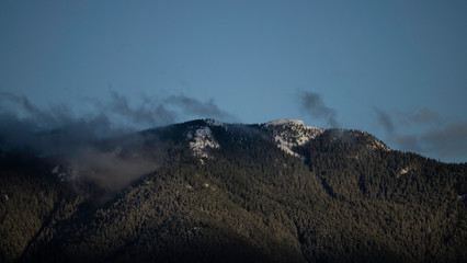 mountains in the fog