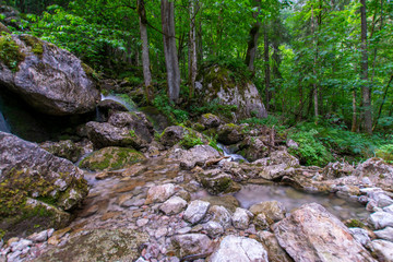 scenery at berchtesgadener Land 