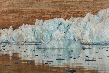 Landscape with glacier in Svalbard at summer time. Sunny weather.