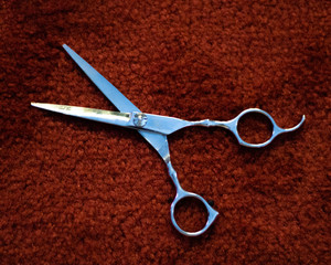 Obraz premium scissors and comb on red background