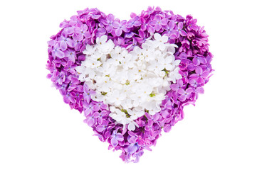 Heart symbol made of fresh violet Lilac flowers isolated on white background. Love concept for Valentine's and Mother's Day