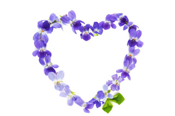 Heart symbol made of fresh purple Violet flowers isolated on white background. Love concept for Valentine's and Mother's Day