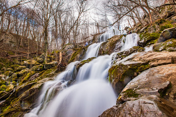 Flowing Dark Hollow Falls amidst leafless trees in Shenandoah National Park Virginia in early spring